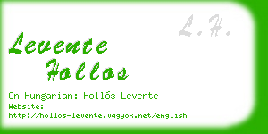levente hollos business card